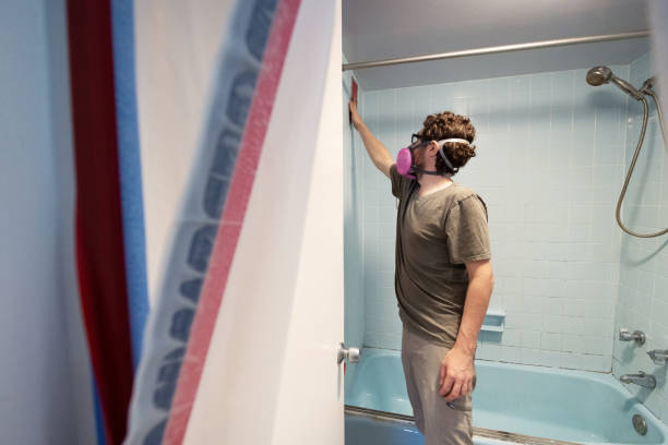 Best Dehumidification Services  in West Blocton, AL