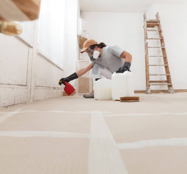  West Blocton, AL Mold Removal Pros